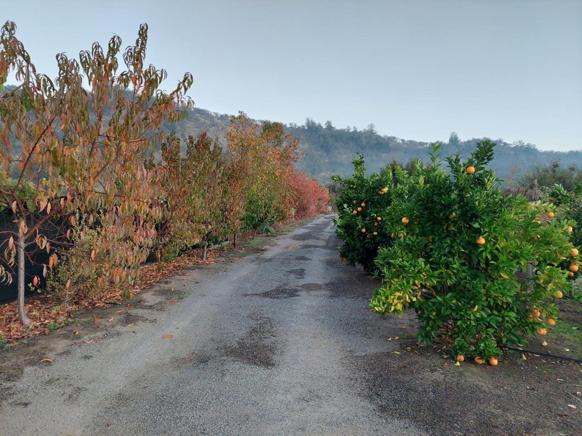 Callihue Lodge Santa Cruz Εξωτερικό φωτογραφία